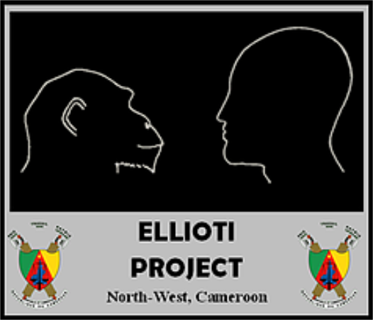 Sekakoh.org tweet media