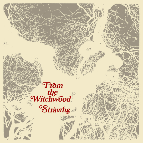 STRAWBS • FROM THE WITCHWOOD (A&M, 1971) Charts: UK #39. Excellent #folkrock #progrock from the long running group led by founder Dave Cousins. Recorded when Rick Wakeman played keyboards for them (pre-Yes). #ProducerWeek: Tony Visconti #vinyl #RockSolidAlbumADay2020 063/366