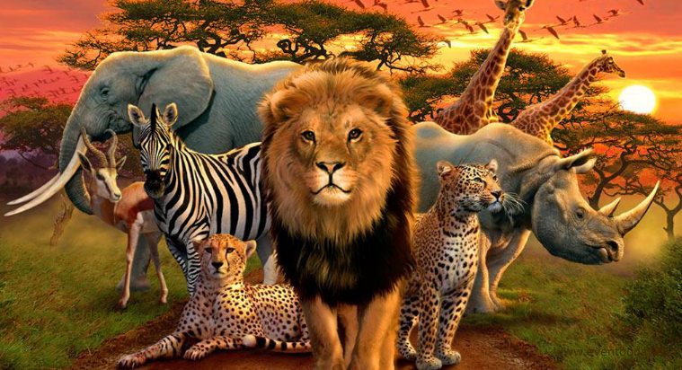 PURE_CX_'s tweet photo. Happy #WorldWildlifeDay! #cx https://t.co/6u32oBZtjJ