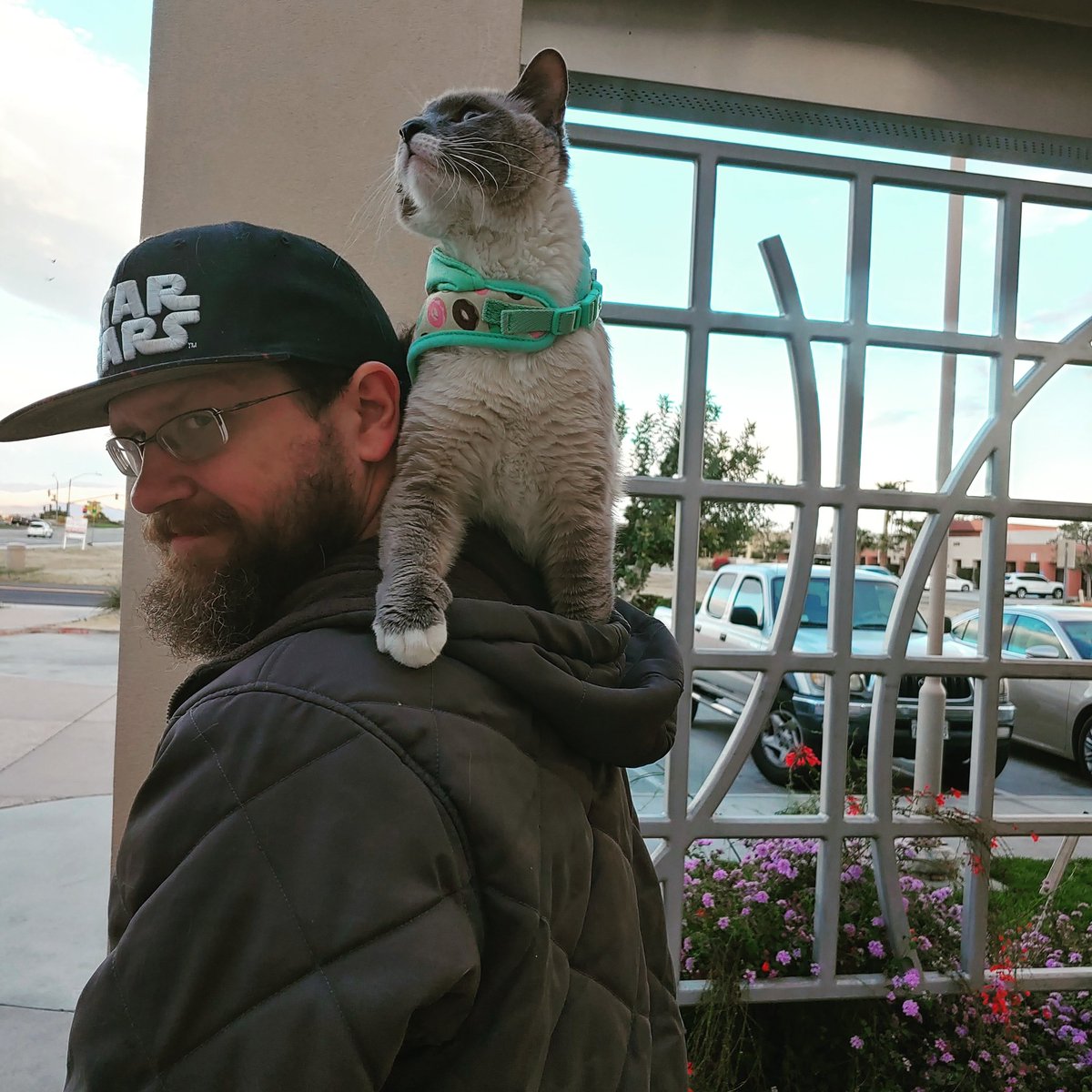 broken_cauldron's tweet photo. Pike: Onward to adventure and magic mighty steed. @TheVulcanSalute we named her after you she's our lil monstah #criticalrole #crittercat #imhergrog
#MagicalAF #staymagicalAF #handmadesoap #geek #geeksoap #soap #smallbusiness #coldpresssoap #brokencauldronsoap https://t.co/VkMJX5DxWc