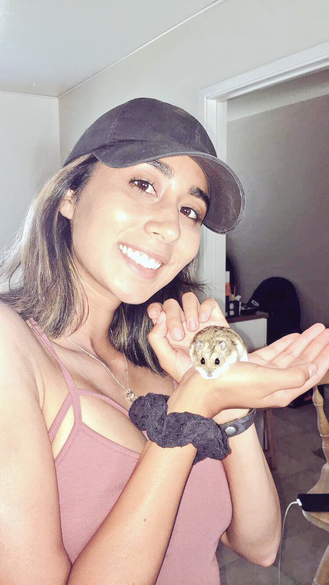 Life_of_Di_'s tweet photo. This is what happens when your mom refuses to let you have any kind of pet as a kid lol https://t.co/TDAKRpHF6E