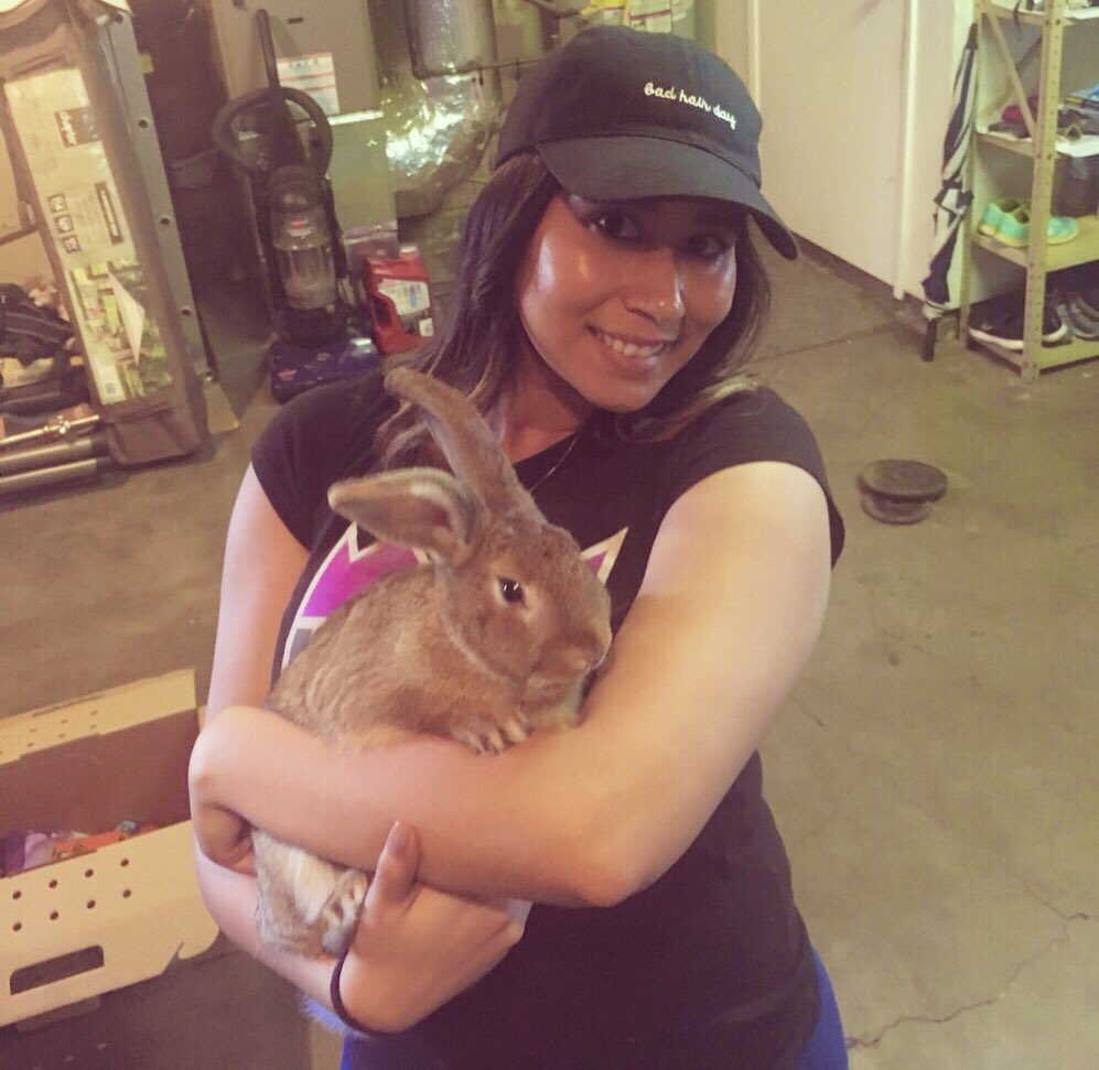 Life_of_Di_'s tweet photo. This is what happens when your mom refuses to let you have any kind of pet as a kid lol https://t.co/TDAKRpHF6E