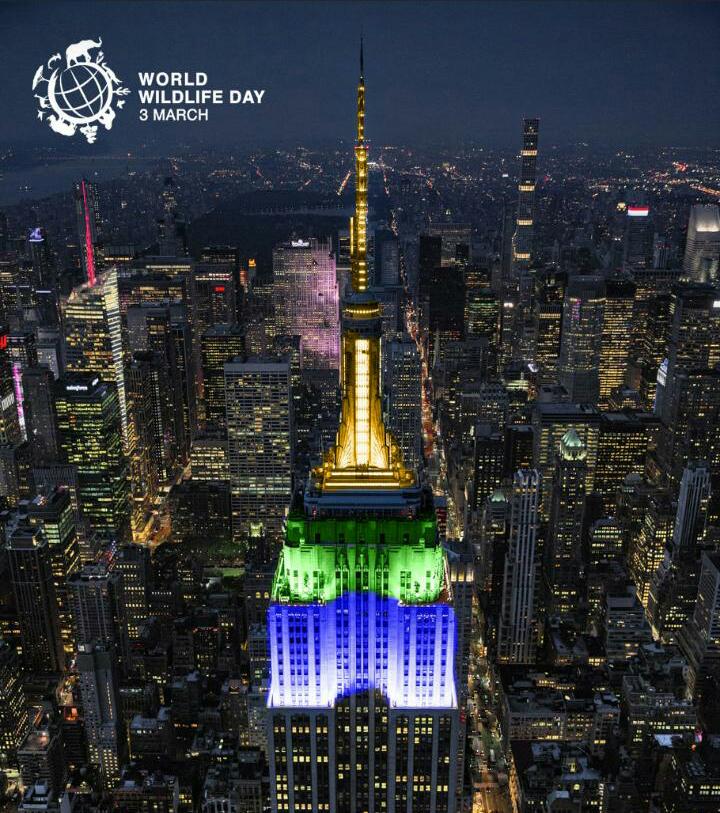 MianoJN's tweet photo. Animal welfare is just as important as human right to food and adequate nutrition, decent 
work conditions &amp; overall social justice. How animals are treated reflects the values in a 
community. Join us to give a #Promise4Wildlife this #WorldWildlifeDay https://t.co/W2frgL8h4Q https://t.co/c3jAyd0hAz