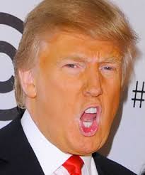 StSnarksPlace's tweet photo. We can't all produce our own Vitamin C thru our orange skin, so quit dicking around in NC and get back to work on the #CoronaOutbreak. @realDonaldTrump, you would be slamming @BarackObama if he was campaigning during this. Stop people from dying from #coronavirus #TuesdayThoughts https://t.co/MtyQwoNiZK