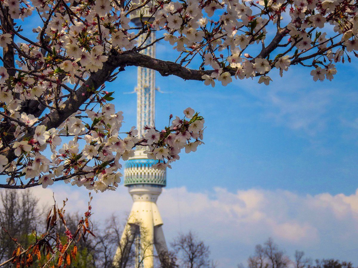 AnurTour's tweet photo. Good morning from Uzbekistan! 
As #1 destination in 2020 by @lonelyplanet we're glad to announce that Spring has come and the season is just around the corner!
18 days till Navruz - our biggest holiday and the sign of good changes. 
Book a tour on Navruz: https://t.co/S6ISu6Iqx7 https://t.co/PBBk08diXC