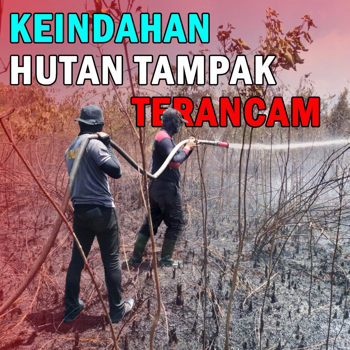 KalitRisu's tweet photo. Hutan adalah sumber kehidupan..
#SemangatBerantasPembalak https://t.co/LxD9RWpbrD