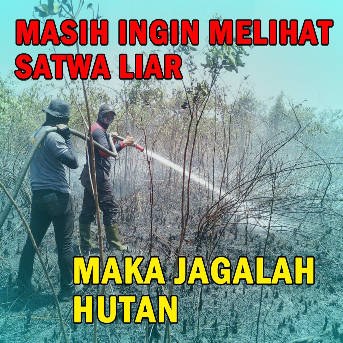 KalitRisu's tweet photo. Hutan adalah sumber kehidupan..
#SemangatBerantasPembalak https://t.co/LxD9RWpbrD