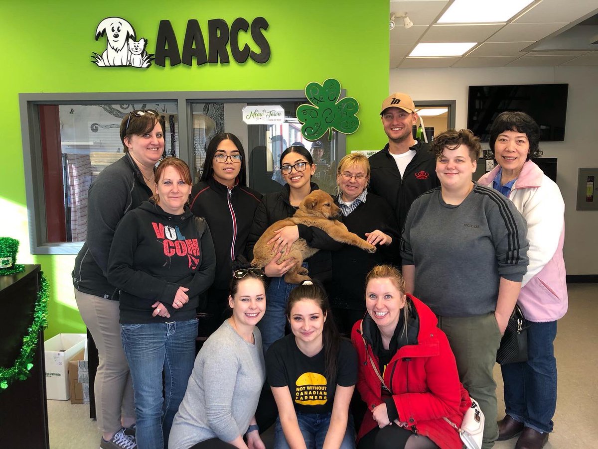airdriemcd's tweet photo. Great day volunteering at @AARCS_Canada 🐾 https://t.co/93oXNbDyhp