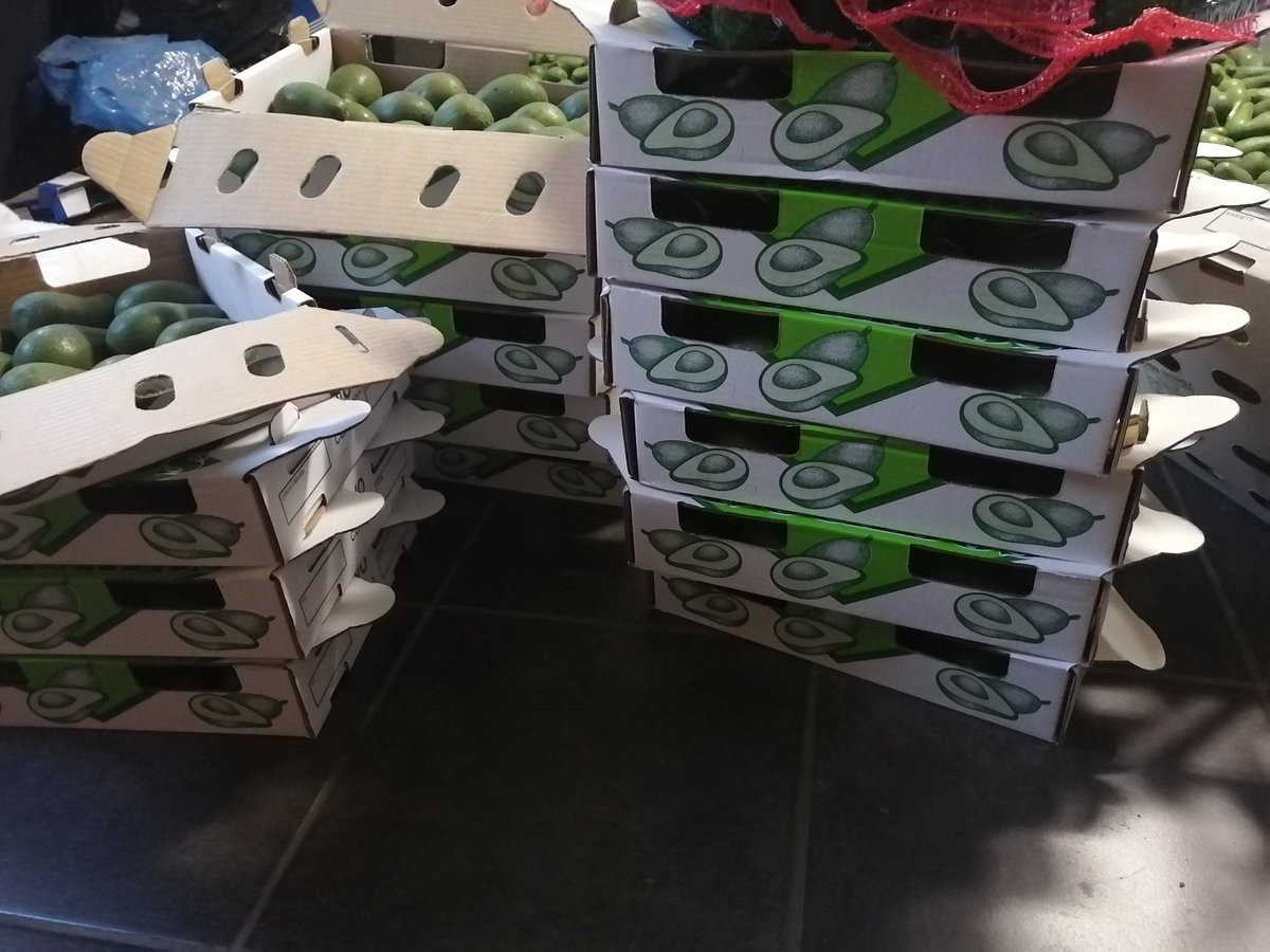 NetshokotshokoP's tweet image. Avocado's, Pretoria, Centurion, Midrand same day delivery, all over Gauteng is available. Whatsap Pfunzo 072 7827 859. #PNETMOVINGGROUP
