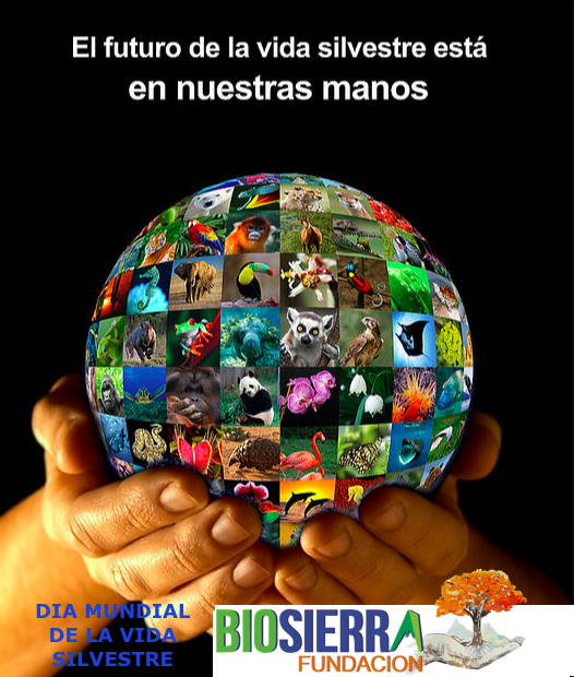 En el #DiaMundialDelaVidaSilvestre  hago un llamado de #Atención para  que tomemos #Conciencia hacia la protección de los #RecursosNaturales en especial los #Humedales que son el soporte de #Vida de muchos #AnimalesSilvestres 
<a href="/Funda_Biosierra/">FUNDACION BIOSIERRA</a> @escuelambienta1 <a href="/FunGreis/">Fundación Greis</a> <a href="/INLARBOR/">ILA Arbor</a>