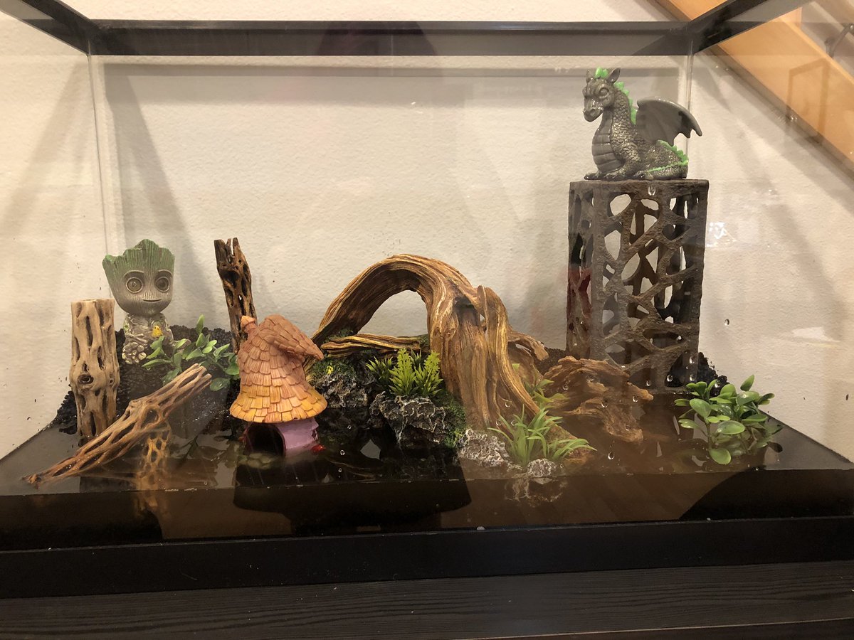 Setting up a new planted aquarium in the office.Gonna fill it with a few cherry shrimp after the ground cover takes root & I fill the rest up.Will plant some bulbs then too.Tips for planted tanks are welcome!Yes, I’m asking for advice.Please & thank you!