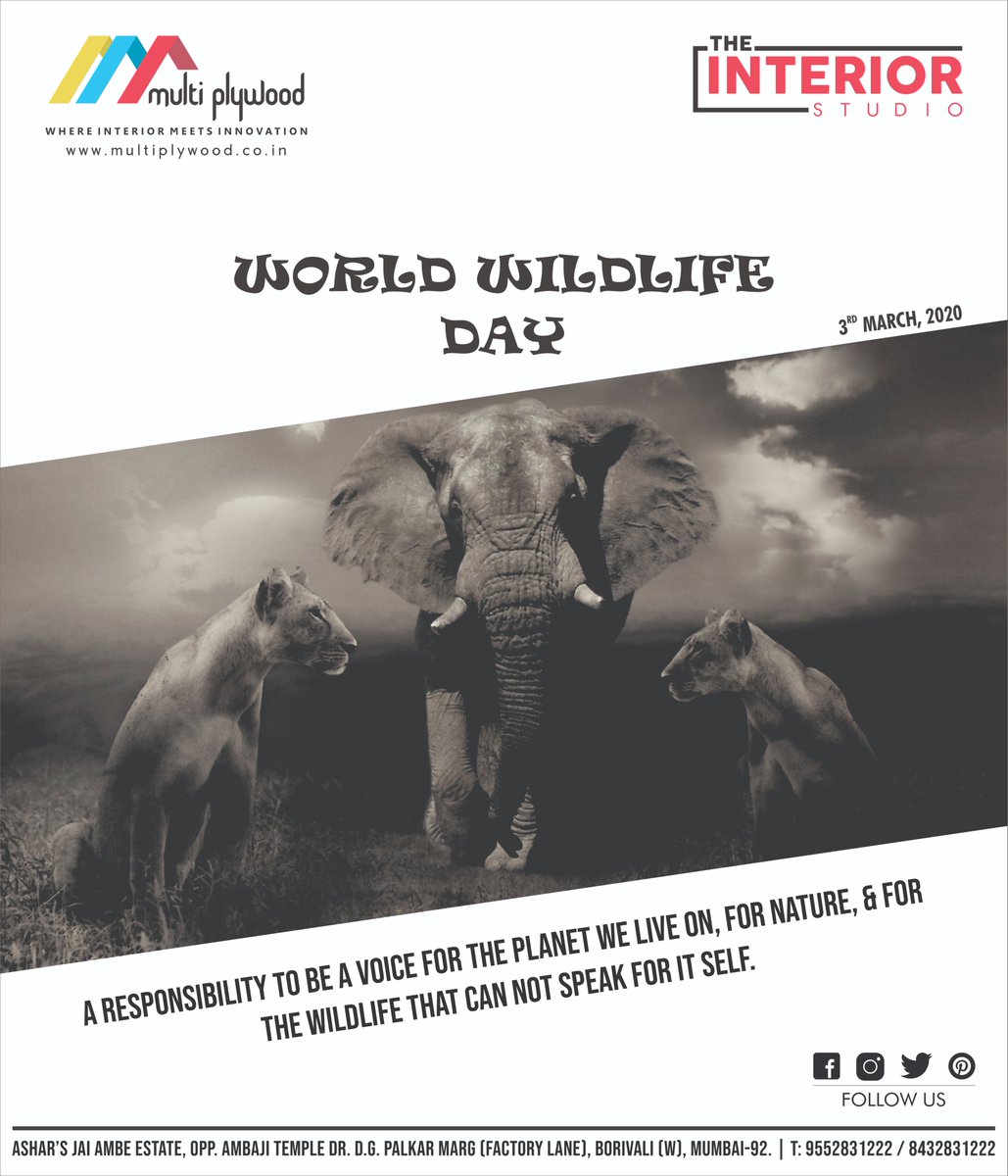 The_interior1's tweet photo. Saving one animal won’t change the world but it will change the world for that one animal. @The_interior1 @03March_USA @WorldWildlife4 @03March2017 @EllyanneCGithae #WorldWildlifeDay #WorldWildlifeDay2020 #wildlife #WildlifeConservation #architecture #ArchitectingTheFuture https://t.co/d46AJTU51g