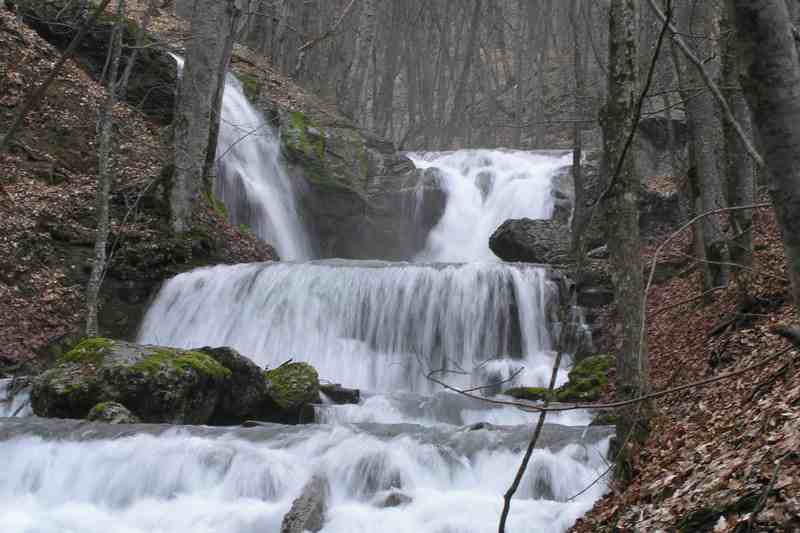 Андрей tweet media