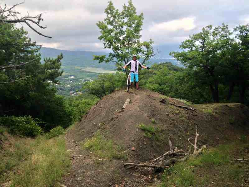 Андрей tweet media