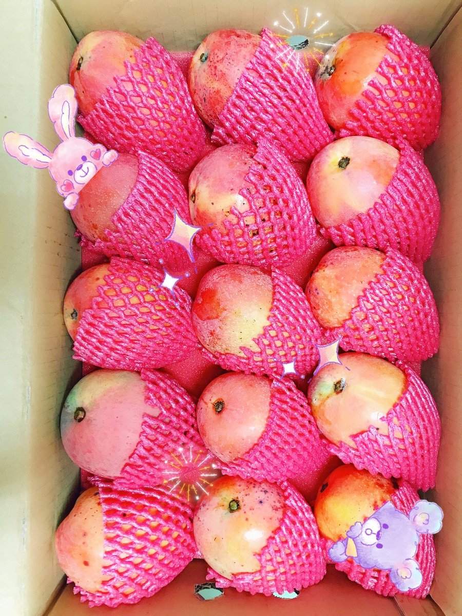 #幫單親姐妹銷售
自家自產自銷👍
🥭屏東芒果🥭
15顆裝(10斤)只要900~~~
#沒吃那麼多的也可以3顆200哦
北部芒果都超貴，樂樂上次買到一顆100多塊的😭
#喜歡吃芒果的孩紙們快來問我
#外縣市要配送的運費朋友價只要100塊拉 https://t.co/P1l9aYHVtI