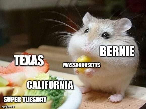 WholesomeBernie's tweet photo. #BernieSandersForPresident #supertuesday2020 #TexasForBernie #CaliforniaForBernie #MAForBernie (shared to us by Jamie B on Facebook) https://t.co/dr6L6uiZAF