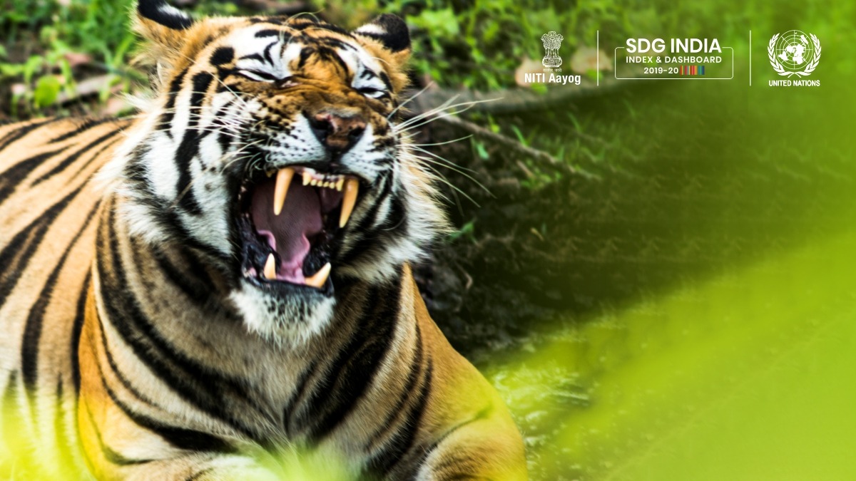 NITIAayog's tweet photo. Life on Earth 🌎 is crucially dependent on its land systems &amp; 🇮🇳 has made sustainable management of its terrain ecosystem a priority. #WorldWildlifeDay

#Manipur &amp; #Sikkim are the best performing States for achieving #SDG15 on #SDGIndiaIndex 2019.

Read: https://t.co/r6c3ocNHy5 https://t.co/TGJo0zTFYT