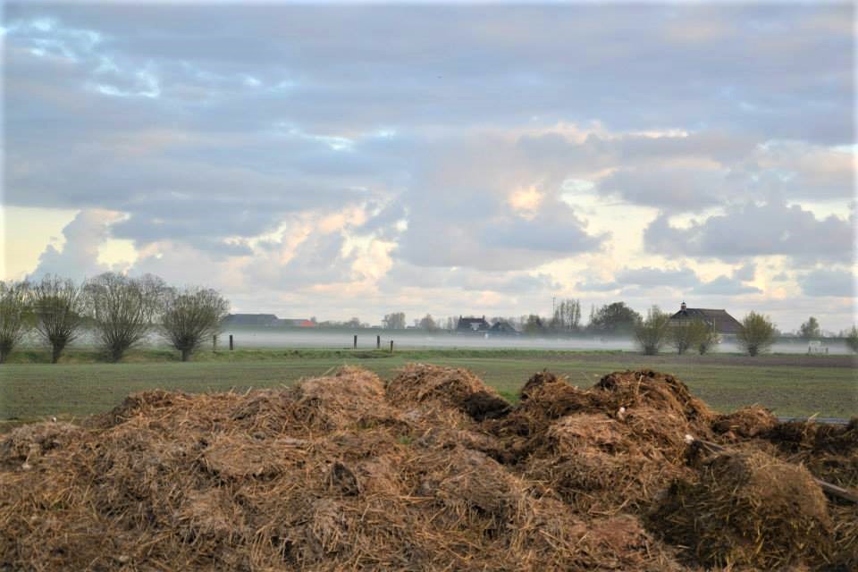 fieggentrio's tweet photo. Kollumerpomp https://t.co/ivEAJzlEWM
Kollumerpomp is een dorp in de gemeente #NoardeastFryslân, in de provincie #Friesland.
Het ligt ten noordoosten van Kollum, ten zuidooten ...
5 foto's van Kollumerpomp.
#Kollumerpomp #travel #tourism #dorp #village #Nederland #Netherlands https://t.co/T1338uJD8C