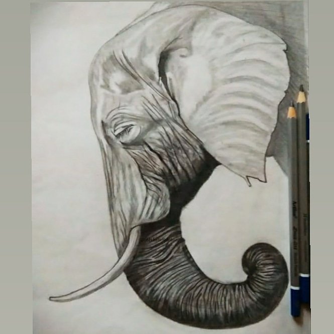 Akshata_Belekar's tweet photo. Throwback to 2019
#art #artists #ArtistOnTwitter #Artist #arte #artshare #drawing #draw #drawingoftheday #sketchbook #sketches #sketching #pencilart #pencilsketch #pencil #peace  #sketchnotes #graphite #artstudio #artsy #artstream #artsale 
@Indiaart @TrendyResin @SaatchiArt https://t.co/6LTcLADGbG