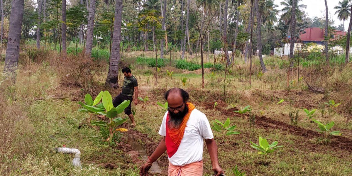yuva_brigade's tweet photo. #YuvaFarm
Yuva Brigade, Bengaluru volunteers involved in organic farming at Yuva Farm located in Bengaluru Rural District. https://t.co/4hF7FLi0TL