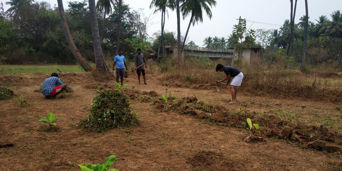 yuva_brigade's tweet photo. #YuvaFarm
Yuva Brigade, Bengaluru volunteers involved in organic farming at Yuva Farm located in Bengaluru Rural District. https://t.co/4hF7FLi0TL