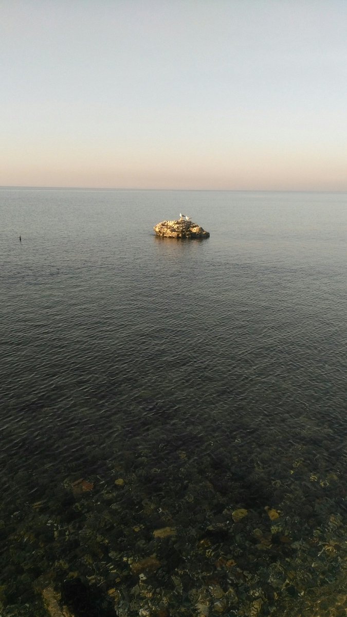 Yine yanlız