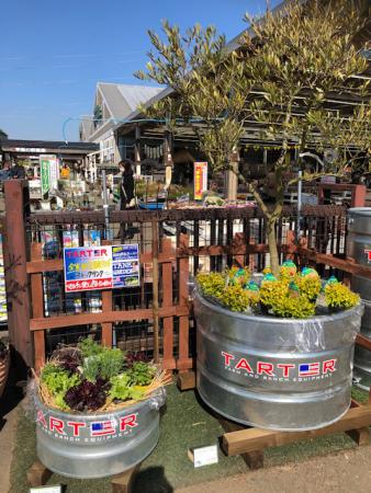 ジョイフル本田 ガーデンセンター ガーデンセンター荒川沖店 アメリカよりガーデンにお薦めの本格的アイテムが多数入荷しております 本物志向のあなたに 使い方のアイデアも多数展示しております ワイン樽 ストックタンク ガーデニング