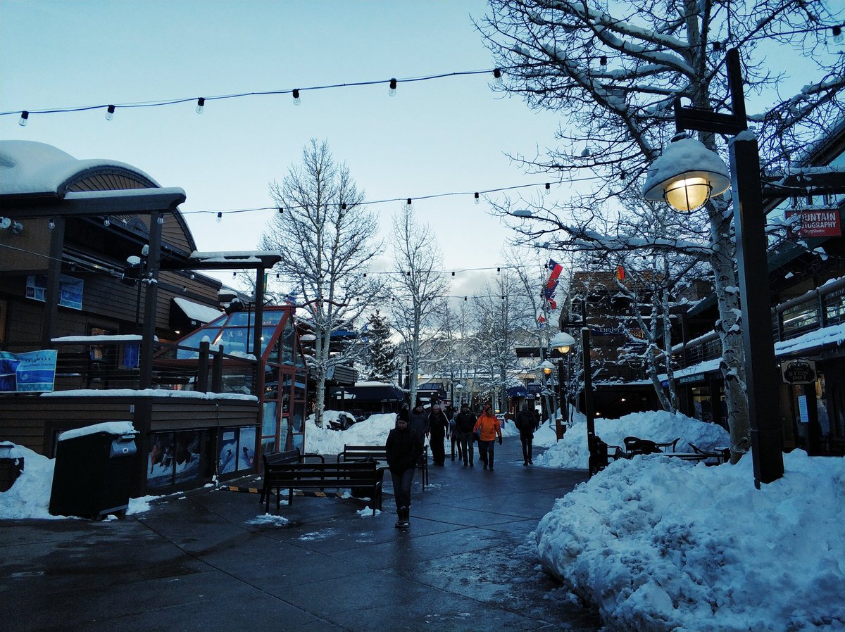 Haoyu Ma tweet media