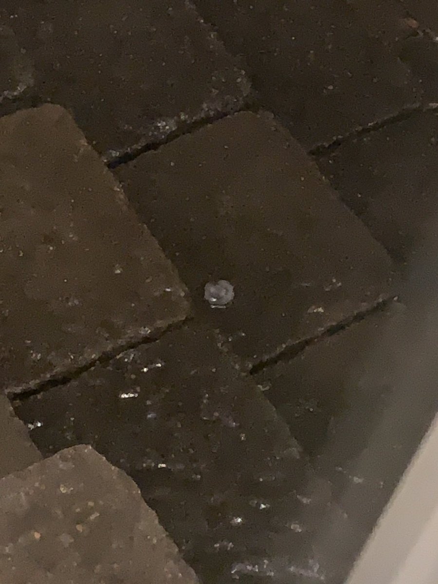 aaliyahhh15's tweet photo. @DicksonSevereWx Not a great pic but easily half dollar hail in Charlotte (rock church/ franklin) https://t.co/16MLRwhXul