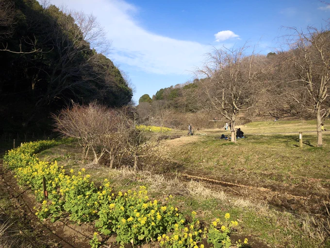 池、湿地、里山、草花。
散歩するおじいちゃんお婆ちゃとと元気全開で遊び回る子供達。
大砲レンズを湖畔の茂みに向ける野鳥の会。
最高の公園を見つけたので、ここでお仕事。 