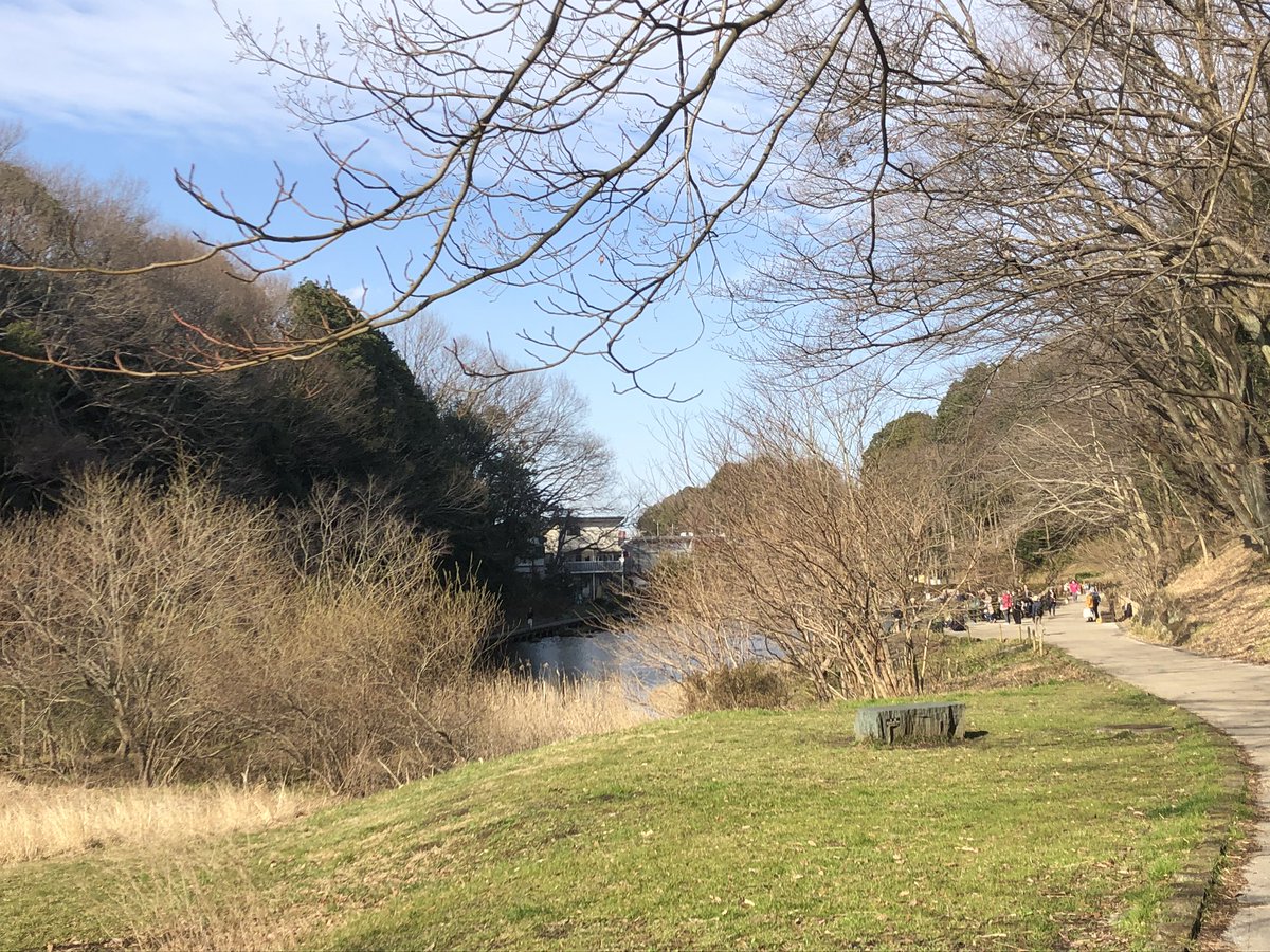 池、湿地、里山、草花。
散歩するおじいちゃんお婆ちゃとと元気全開で遊び回る子供達。
大砲レンズを湖畔の茂みに向ける野鳥の会。
最高の公園を見つけたので、ここでお仕事。 