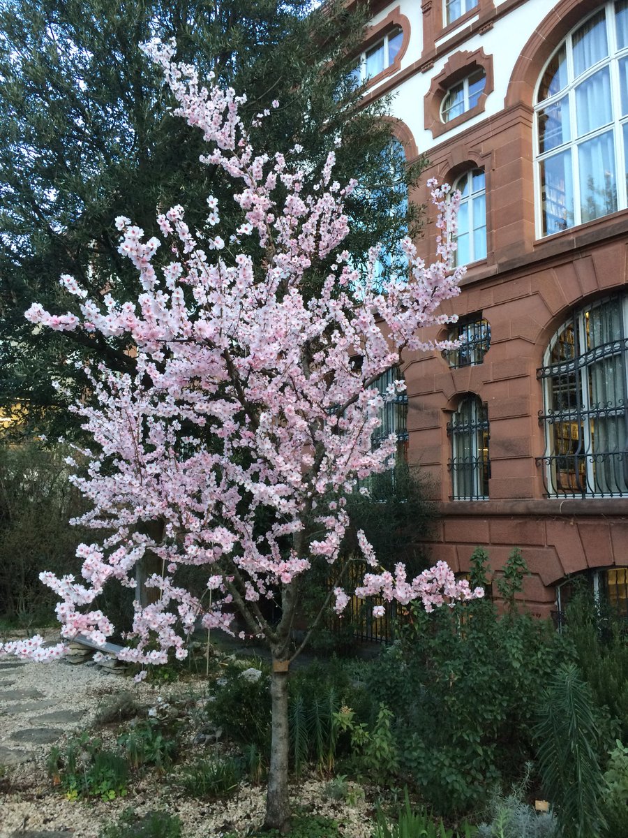 bgunibasel's tweet photo. Offen! https://t.co/FY23Ob9cAM