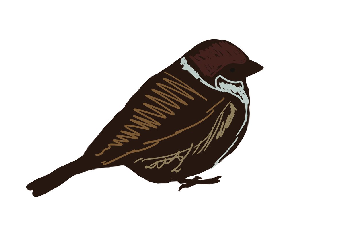 すずめちゃん 有限会社ひよこ Pa Twitter すずめを描いてみた