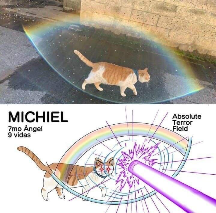 ESKlRtKWsAEiy20?format=jpg&name=900x900