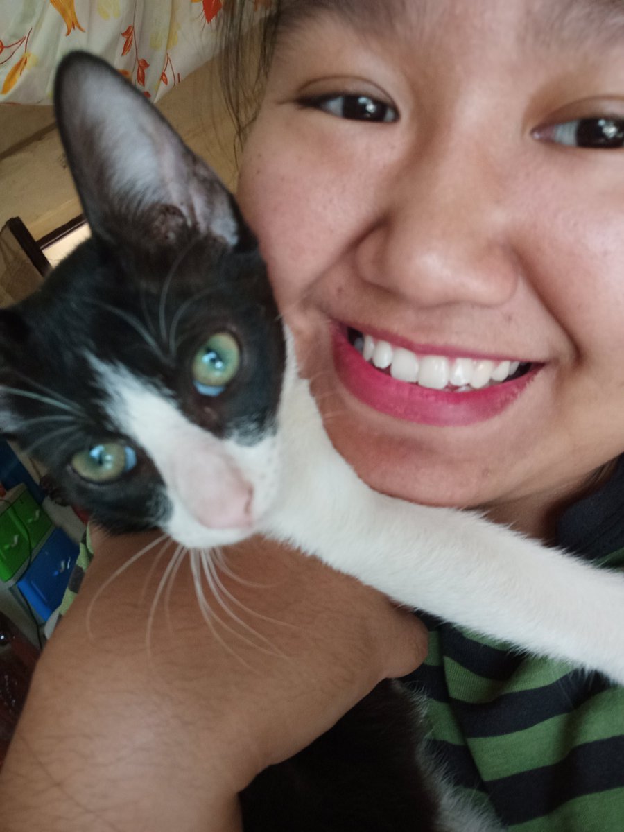 3000cats's tweet photo. This is why i'm excited to go home ❤️😸 https://t.co/ghfjjOTU9H