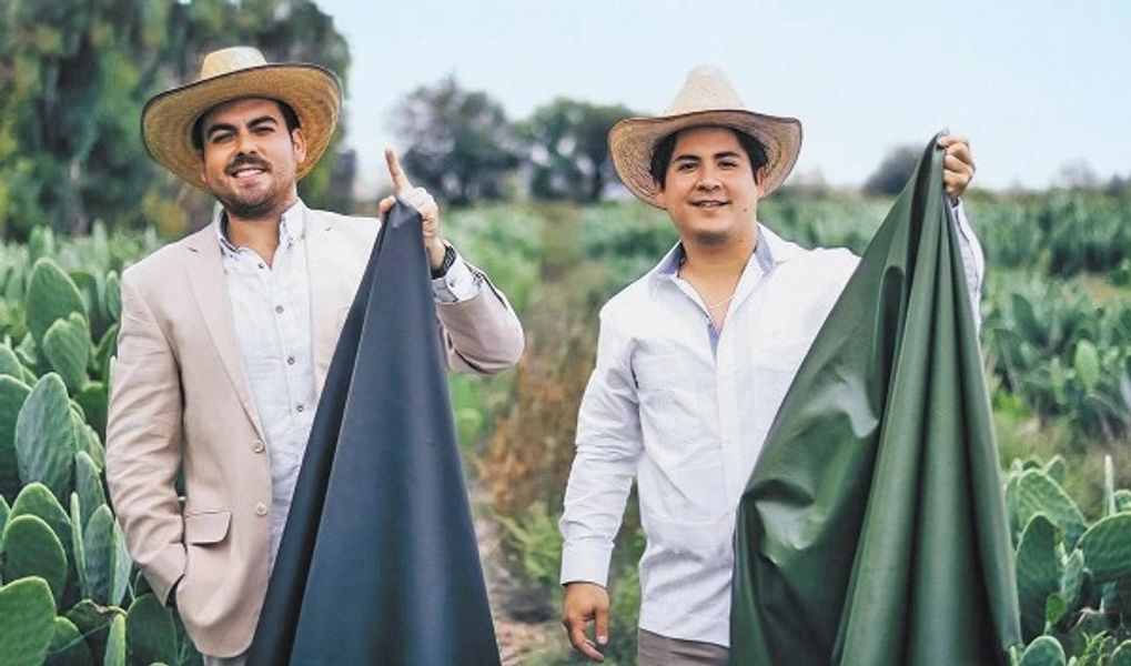 Mexican duo Adrián López Velarde and Marte Cázarez have been nominated for Germany’s Green Product Award of 2020 for their cactus leather! 

#CactusLeather #Green #EcoFriendly #Vegan #CrueltyFree #Desserto