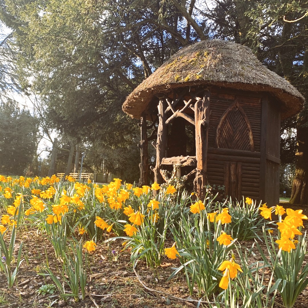 It's World Wildlife Day! Why not take a stroll around our grounds today to appreciate all that nature has to offer? #WorldWildlifeDay #Biodiversity2020 #WWD2020