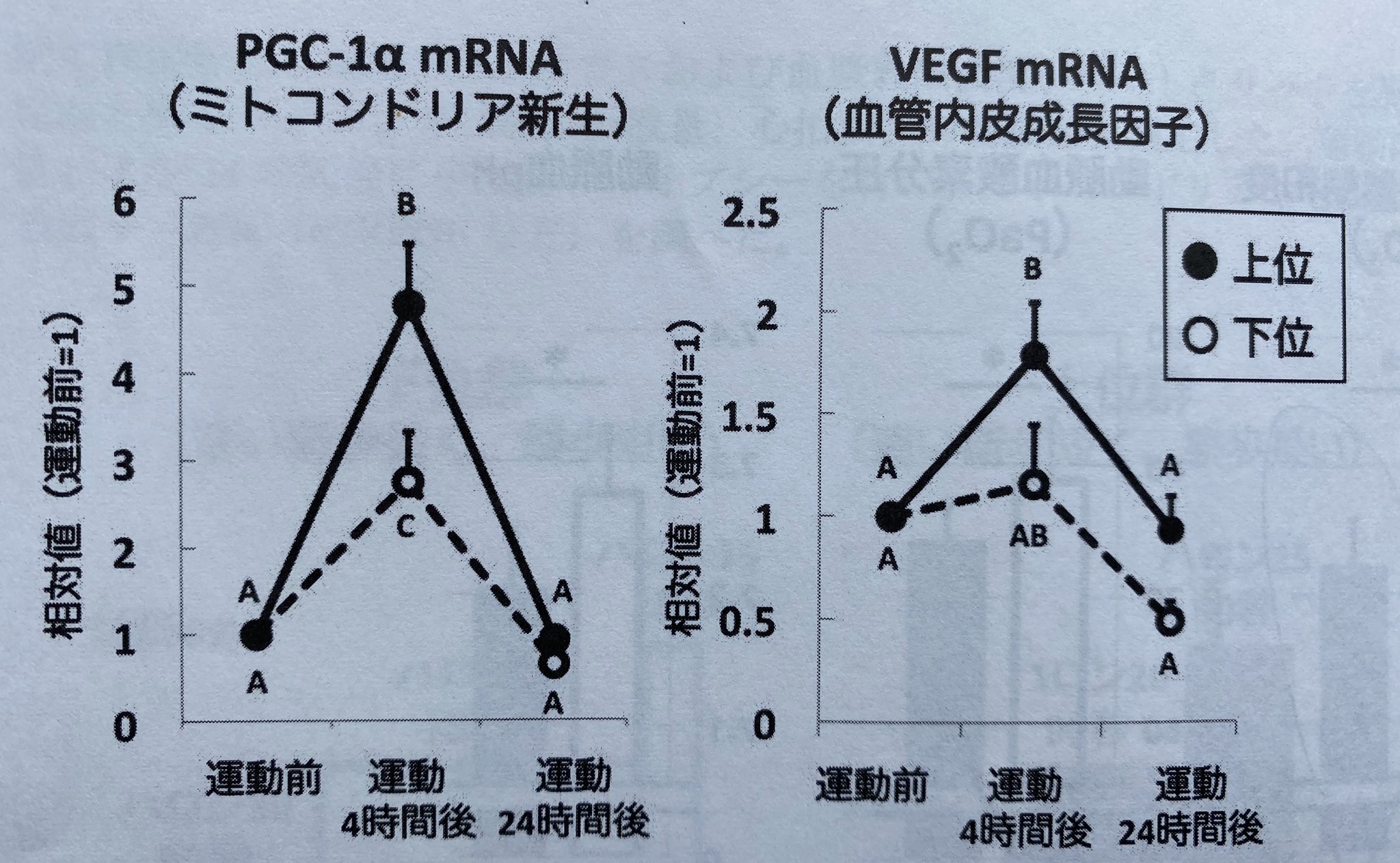 瀬瀬賢 On Twitter そうです ミトコンドリアの活性は運動時間ではなく 運動強度に大きく影響されます 中間型速筋への移行と中間型速筋内ミトコンドリアを増やすことになります Twitter