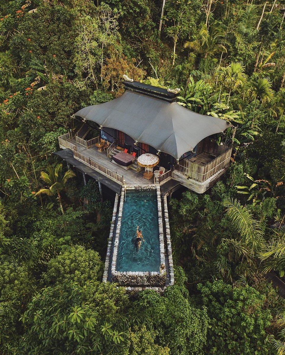 BoutiqueStyleTD's tweet photo. El işi sanatlarının, ağaç oymacılığının ve müzeciliğin gelişmiş olduğu bir semt olan Bali'nin kültürel kalbi Ubud ülkenin en iyi sanat müzeleriyle sizleri bekliyor...
📩 info@boutiquestyle.com.tr 
#seyahat #sizeözel #travel #tailormade #tailormadetravel #turkeytravel #dmcturkey https://t.co/OzbizKQsXM