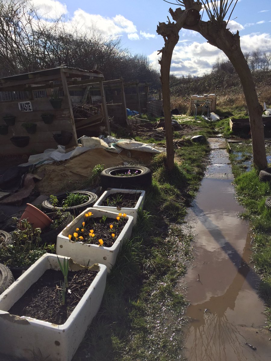 Recording sounds of shared gardening work. Also a loud cockerel, a flyover and railway line. New project at a local Allotment/Men's Shed.