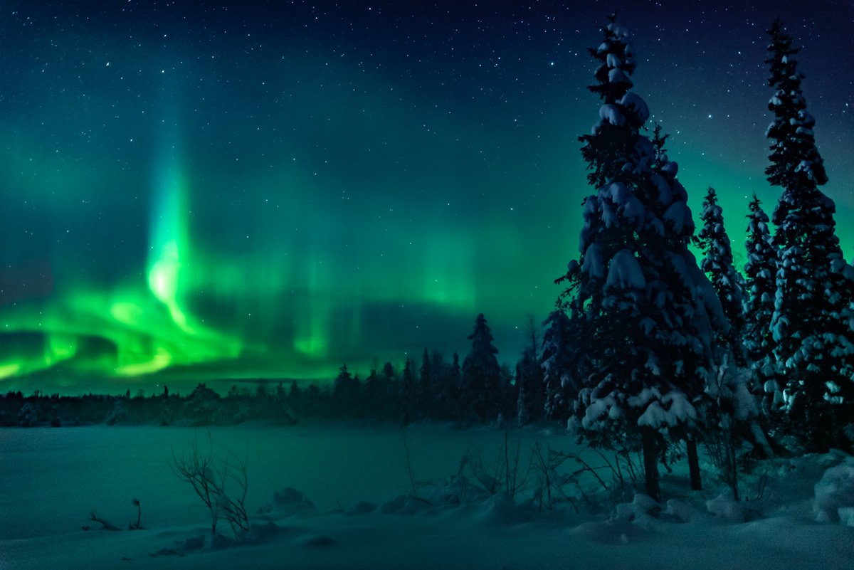 DiscoverFinland's tweet photo. Everything You Need To Know To Photograph The Northern Lights: https://t.co/excq0sfZOV Learn more about the Northern Lights in Finland: https://t.co/9racV66OIH https://t.co/VtvQ6g87Rt