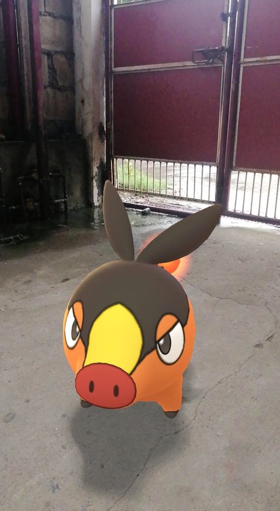 johnerickdgreat's tweet photo. Life cycle of a #Tepig 🐽 ➡️ #Pignite 🐷 ➡️ #Emboar 🐖!
#PokemonGo #SnapShotGo https://t.co/8usNdfm1cu