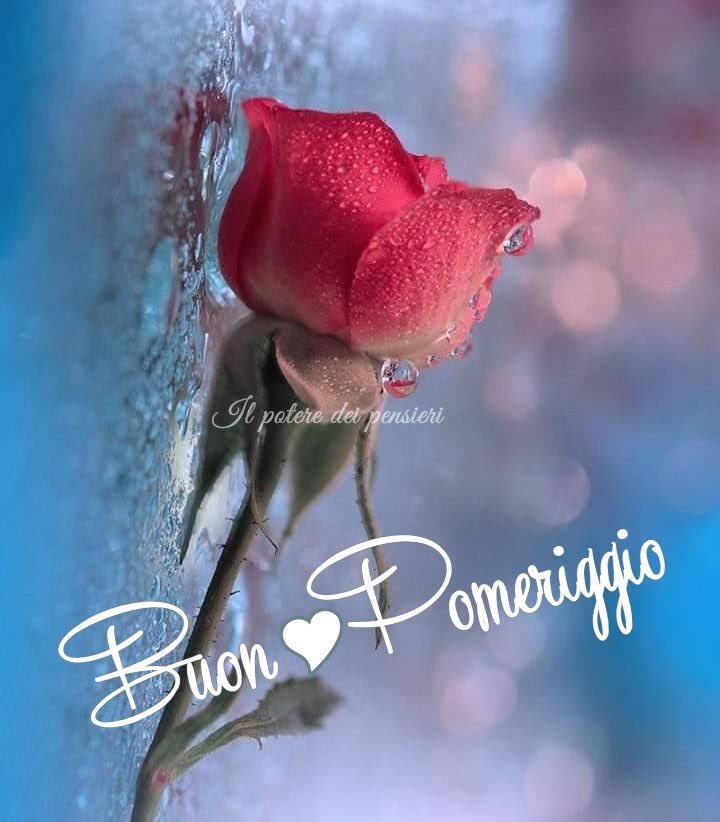 349gian1114567's tweet photo. @Sabrina8Bo Sei bellissima anzi divina https://t.co/swRdKDXNdR
