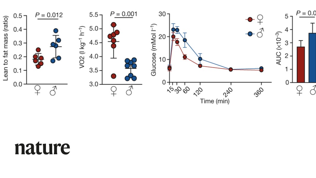 A study in Nature shows important differences between the male and female immune system, which may explain why men are more susceptible to obesity and metabolism-related associated diseases, such as heart disease, stroke and diabetes. go.nature.com/3cfqpEs