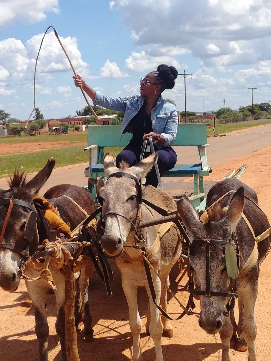 mpholepedi1's tweet photo. You can take me out of the village but you can never take the village out of me. Just arrived at home and going to visit my uncle at a nearby village on a donkey cart. Lol https://t.co/WsGpwaT5FM