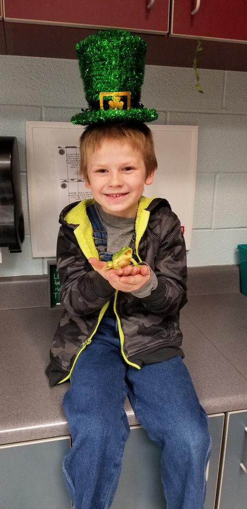 AshleyFerranto's tweet photo. I had a student find Frog #1 in the 3rd Grade Pod @CuCPS last night during our first Student-Led Confrence Night! Happy Tuesday! #shoutout to Daryn who found it and was kind enough to give it to me! #iamcucps https://t.co/L0W0OZzQlE