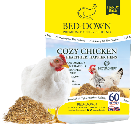 Cozy Chicken bedding is expertly dust extracted, long lasting, absorbent, smells lovely, easy to clean out, compostable, and best of all - no sharp or hard bits making it super comfortable #cozychicken #chickens #eggs #loveyourchickens #hens #poultrybedding #trymenow