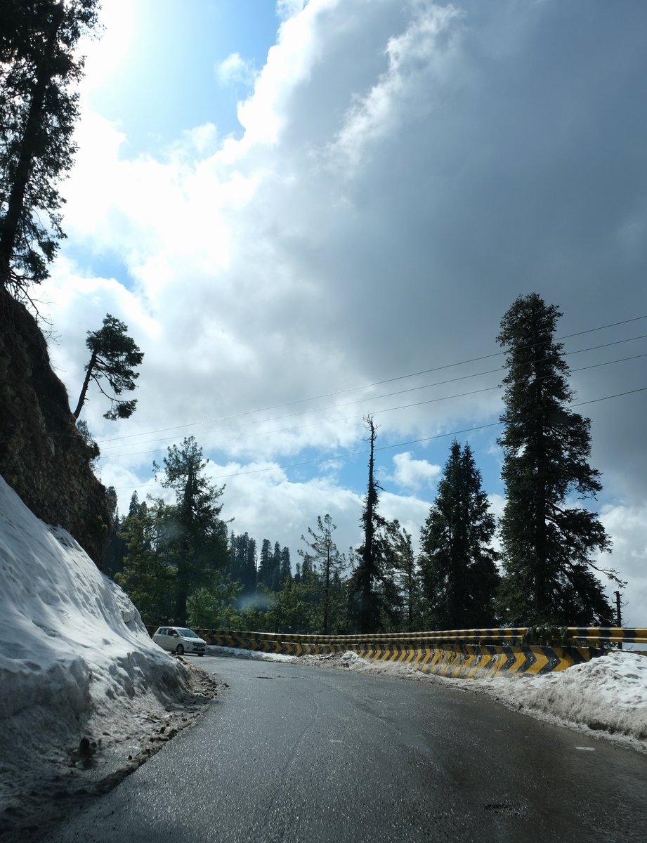 Paklandofpure's tweet photo. Nathiagali ♥️🇵🇰
.
.
#Pakistan
@PakistanNature1 @pid_gov @Pakistaninpics @PakistanNature @PakTravelGuide @DevelopmentPk @TravelPakistan_ @AstoreValley #Nathiagali #travelbeautifulPakistan https://t.co/utyuYyoikG