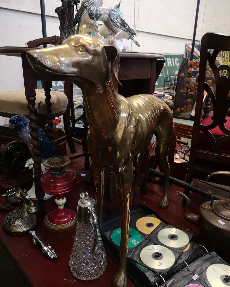 Decorative brass dog statue. We're debating if it's a whippet or a greyhound, what would you say? What we do know is that it's heavy! #brassstatue #auction