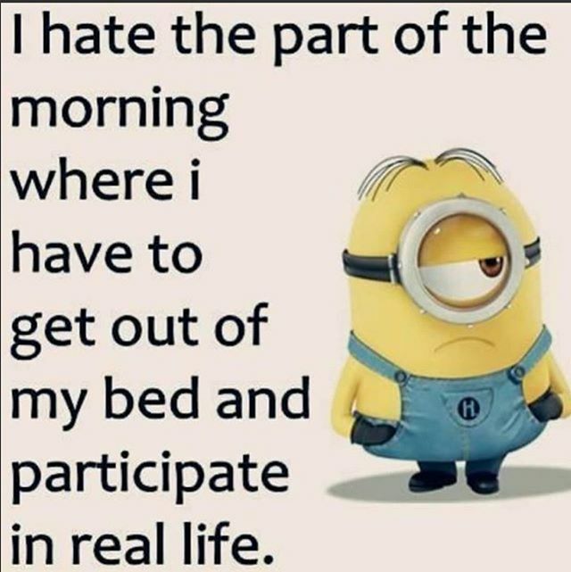 I hate the part of the morning where I have to get out of my bed and participate in real life. #newrelease #authorsofinstagram #kindleunlimited #romance #amwriting #bookstagram ift.tt/2VJUbv5